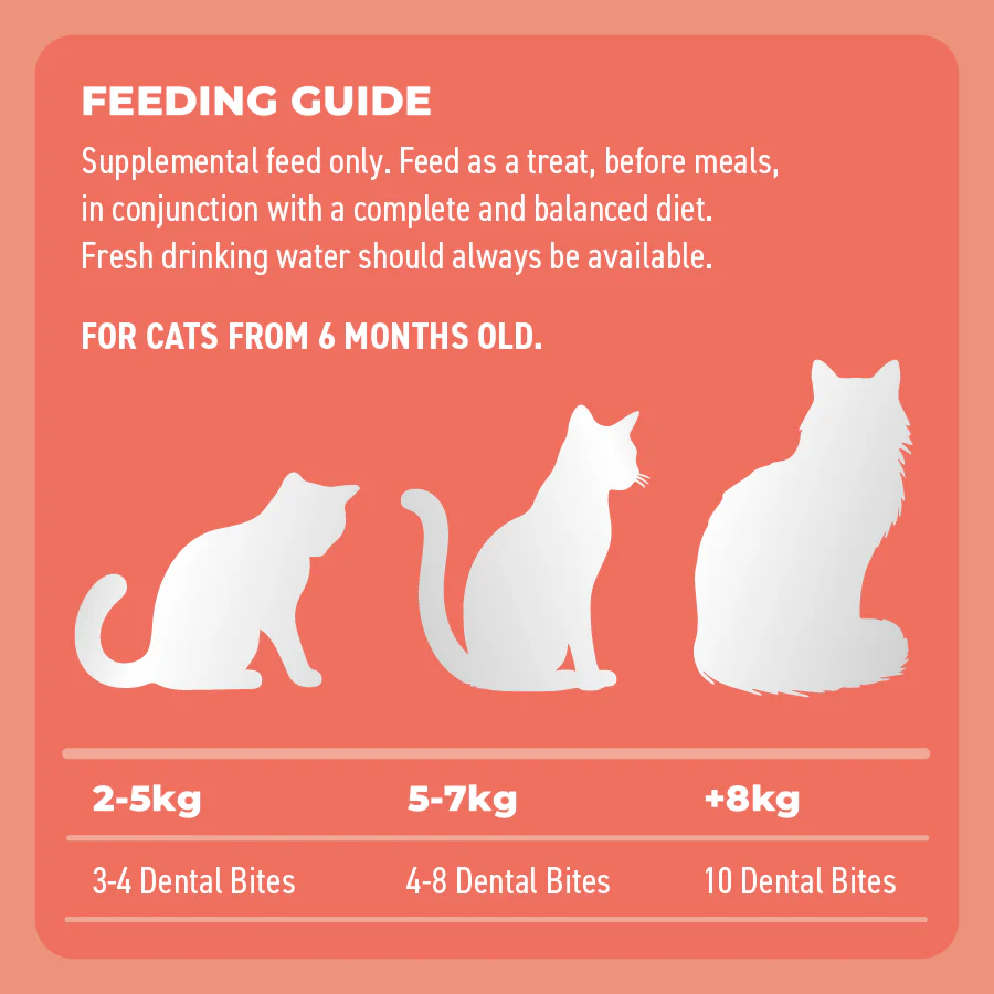 Bell & Bone Dental Bites Salmon With Charcoal Cat Treats 80G - Image 5