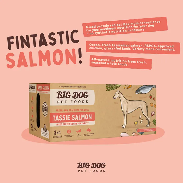 Big Dog Barf Tasmanian Salmon Raw Dog Food 3KG - Image 3