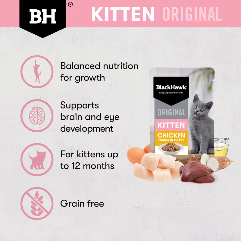 Black Hawk Chicken Kitten Gravy Wet Cat Food - Image 3