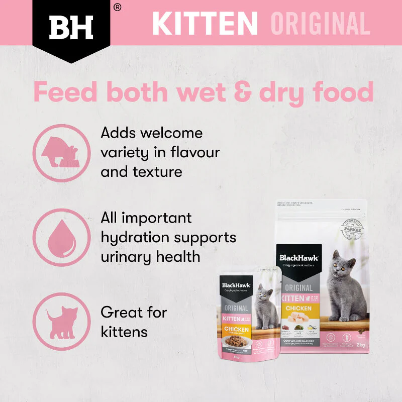 Black Hawk Chicken Kitten Gravy Wet Cat Food - Image 6