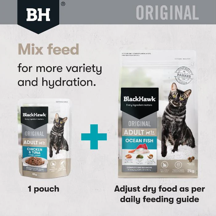 Black Hawk Ocean Fish Original Adult Dry Cat Food - Image 7