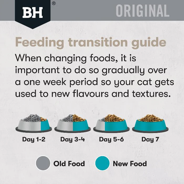 Black Hawk Ocean Fish Original Adult Dry Cat Food - Image 8