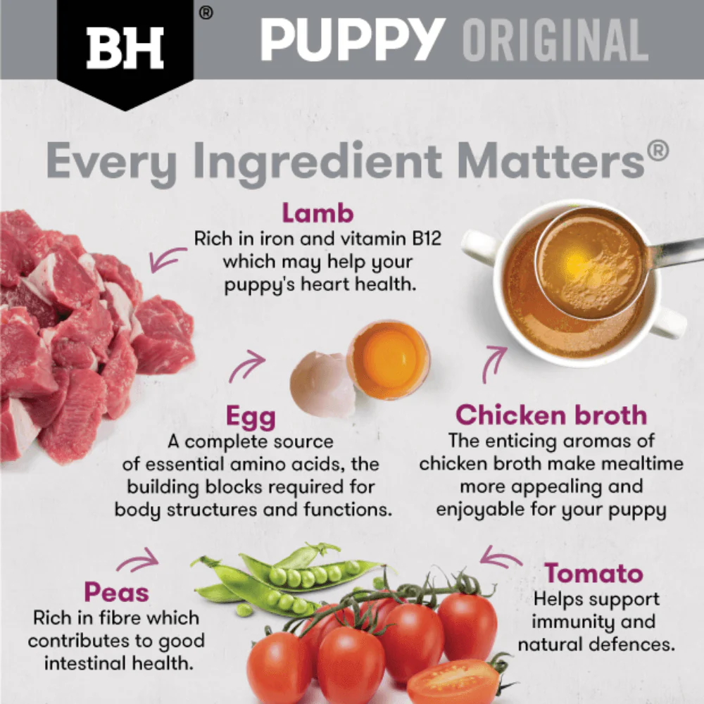 BLACK HAWK Original Puppy Lamb & Vegetables Wet Dog Food 130Gx10 - Image 9