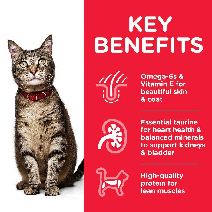 Hill's Science Diet Adult Beef Wet Cat Food Pouches - Image 4
