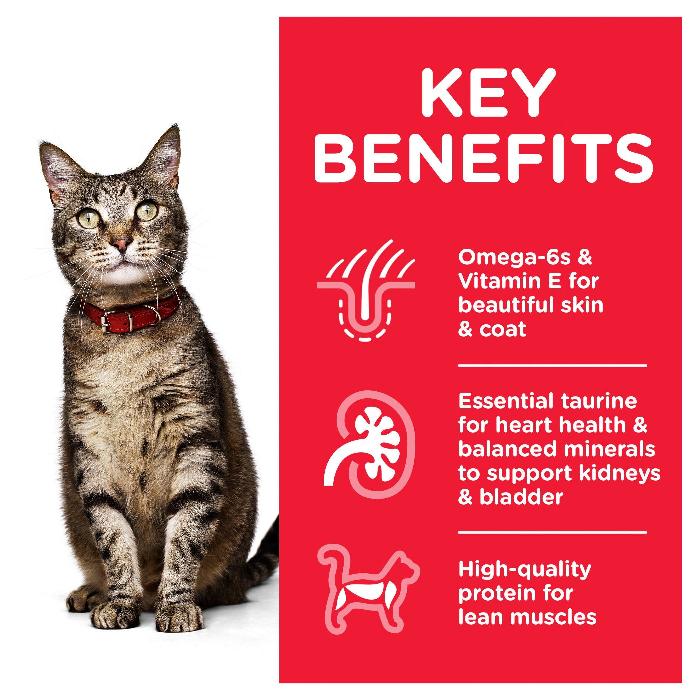HILLS SCIENCE DIET Adult Chicken Wet Cat Food pouches - Image 4