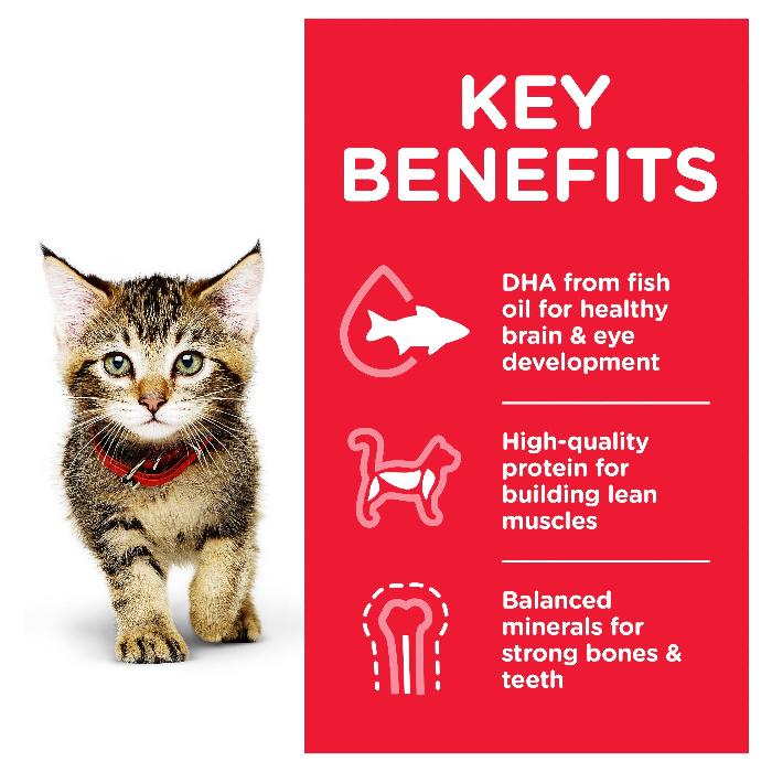HILLS SCIENCE DIET Kitten Chicken Wet Cat Food pouches - Image 5