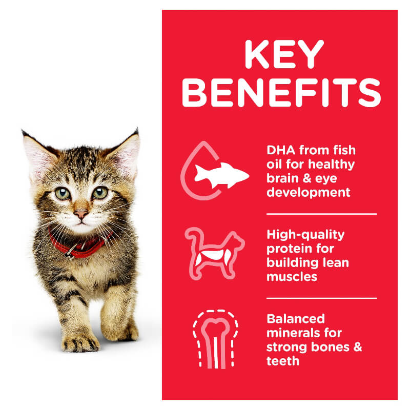 Hill's Science Diet Kitten Ocean Fish Pouches Wet Cat Food - Image 4