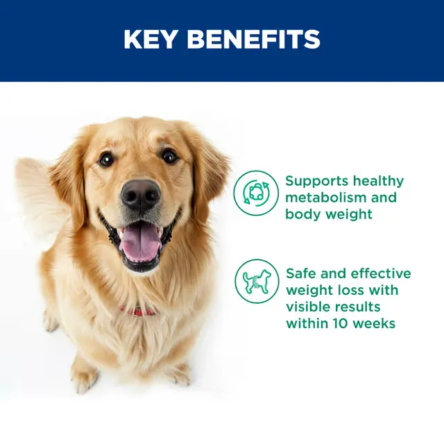 Hills Science Diet Perfect Weight Adult Dog Food - Image 4