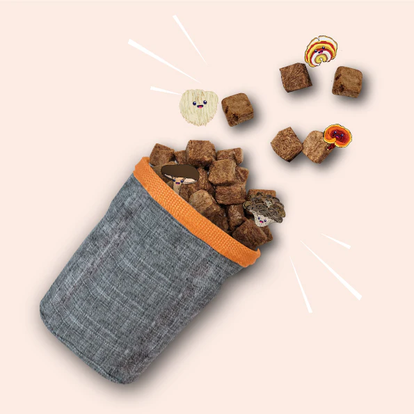 NATURAWR Mushroom Freeze Dried Dogs Treats 50G - Image 3