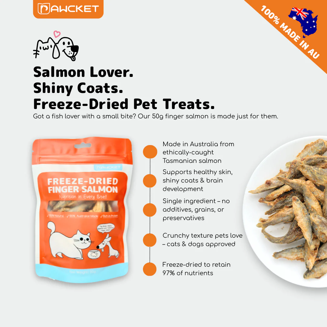PAWCKET Freeze Dried Raw Baby Salmon Dog & Cat Treat 50G - Image 4