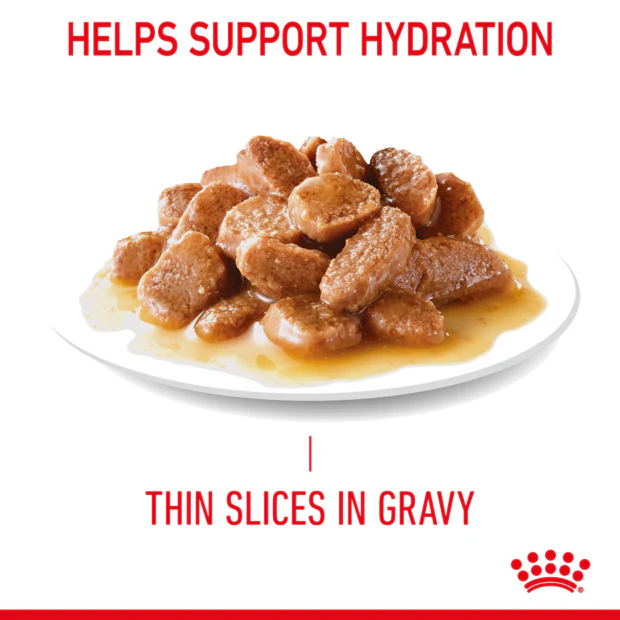 Royal Canin Appetite Control Gravy Wet Cat Food Pouches 85G x 12 - Image 3