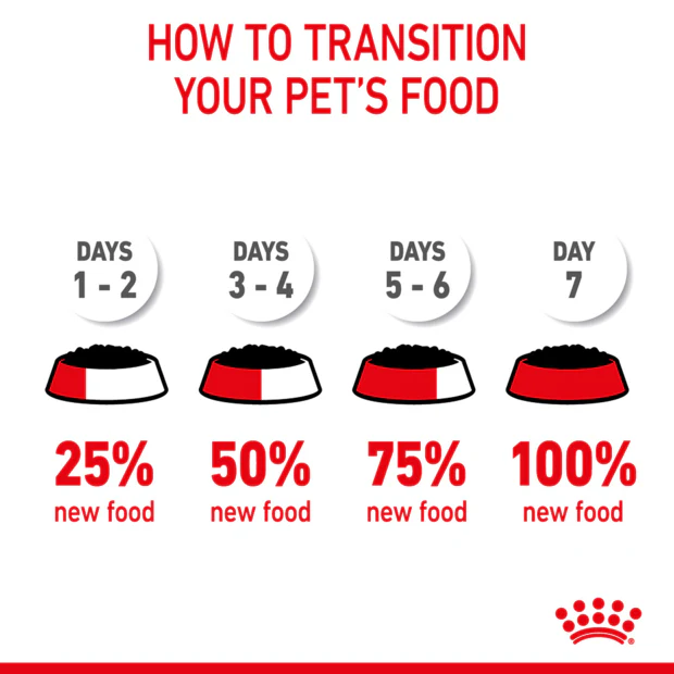 Royal Canin Appetite Control Gravy Wet Cat Food Pouches 85G x 12 - Image 8