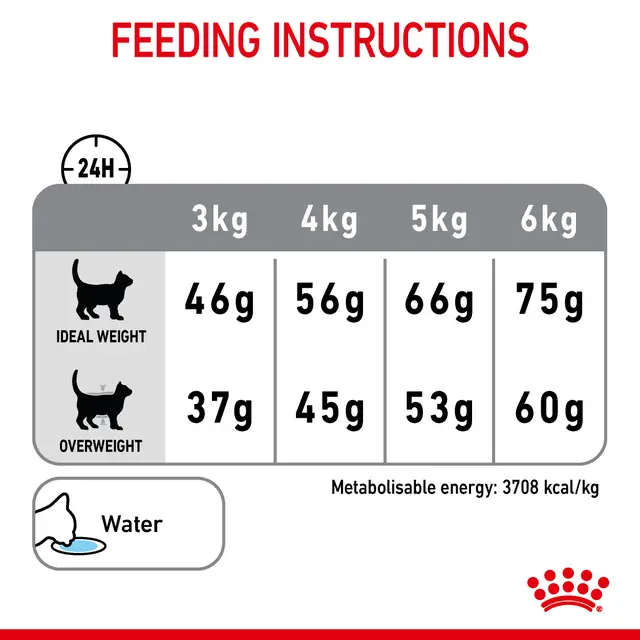 Royal Canin Dental Care Adult Dry Cat Food - Image 3