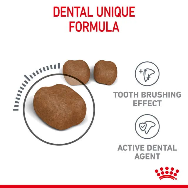 Royal Canin Dental Care Adult Dry Cat Food - Image 4