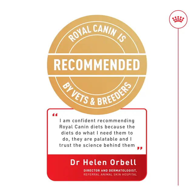 Royal Canin Dental Care Adult Dry Cat Food - Image 7