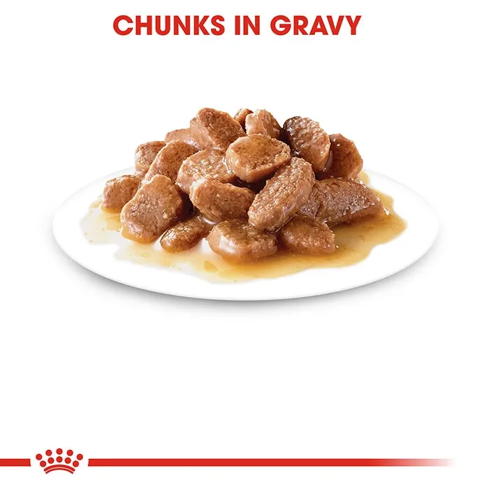 ROYAL CANIN Digestive Care Gravy Wet Cat Food Pouches - Image 5
