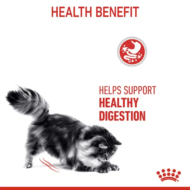 ROYAL CANIN Digestive Care Adult Dry Cat Food 4KG - Image 5