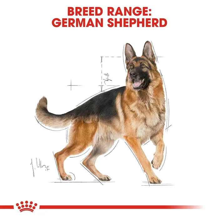 ROYAL CANIN German Shepherd Adult Dry Dog Food 11KG - Image 2