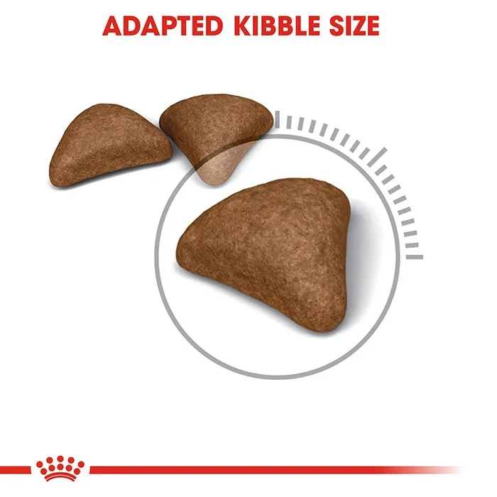 ROYAL CANIN Hairball Care Dry Cat Food 4KG - Image 3