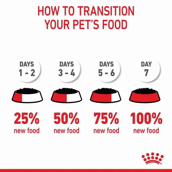 ROYAL CANIN Kitten Instinctive Gravy Wet Cat Food Pouches 85Gx12 - Image 6