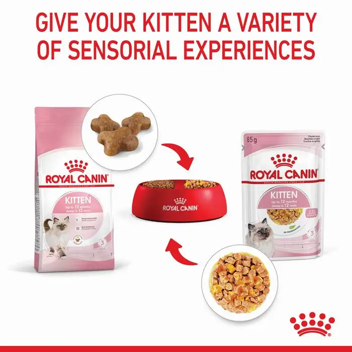 ROYAL CANIN Kitten Instinctive Jelly Wet Cat Food Pouches 85Gx12 - Image 6