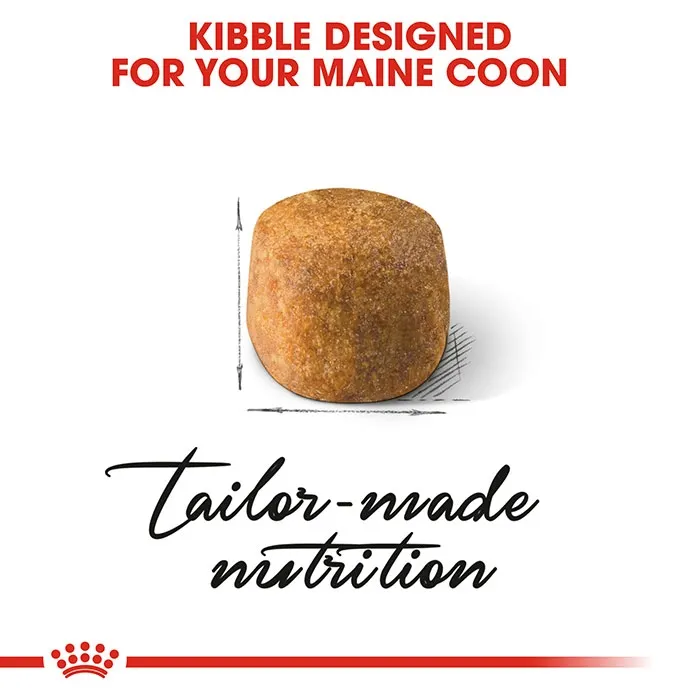 ROYAL CANIN Maine Coon Adult Dry Cat Food - Image 3