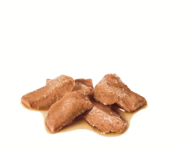 ROYAL CANIN Maine Coon Gravy Wet Cat Food Pouches - Image 3