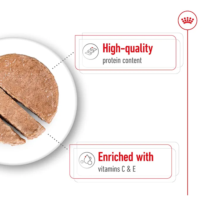 ROYAL CANIN Loaf Medium Adult Wet Dog Food 410g x 12 - Image 5