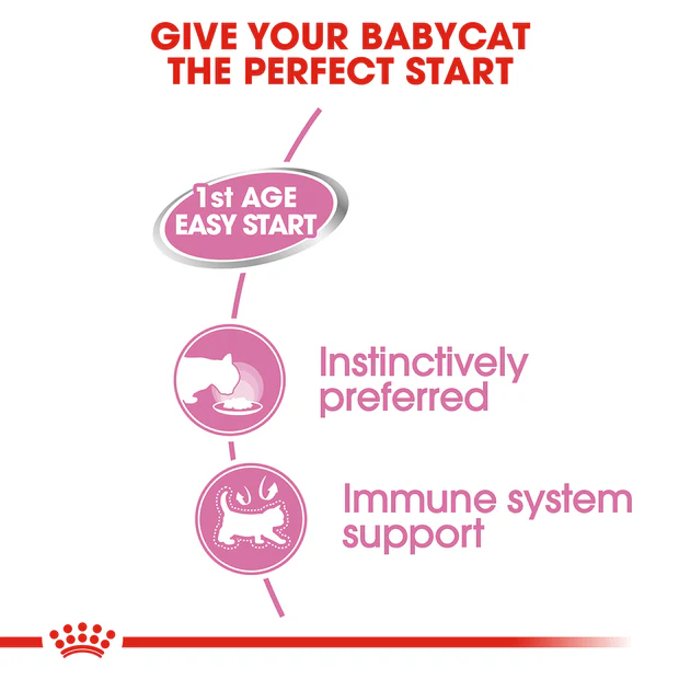 Royal Canin Mother & Babycat Mousse Wet Cat Food - Image 5