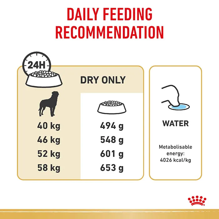 ROYAL CANIN Rottweiler Adult Dry Dog Food 12KG - Image 5