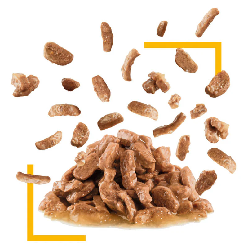 Royal Canin Sensory Taste Chunks Gravy Wet Cat Food Pouches 85G x 12 - Image 3