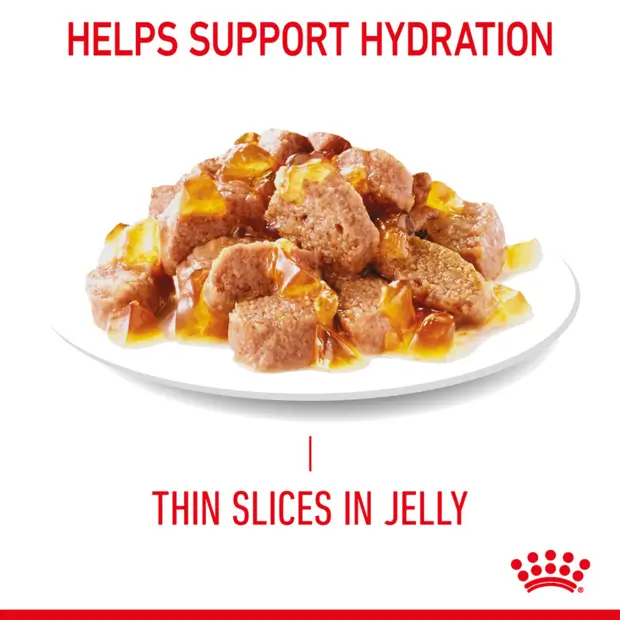Royal Canin Urinary Care Jelly Wet Cat Food Pouches - Image 4