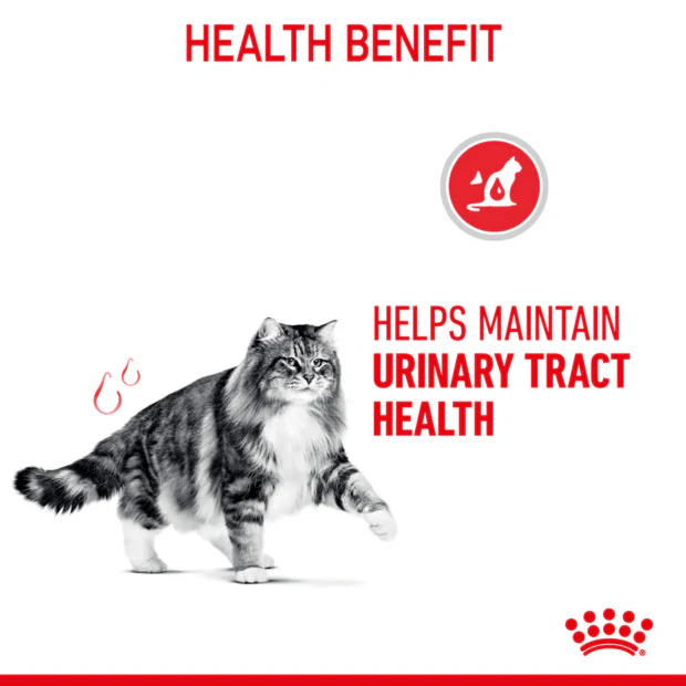 Royal Canin Urinary Care Jelly Wet Cat Food Pouches - Image 5